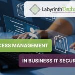 Access Management in Business IT Security