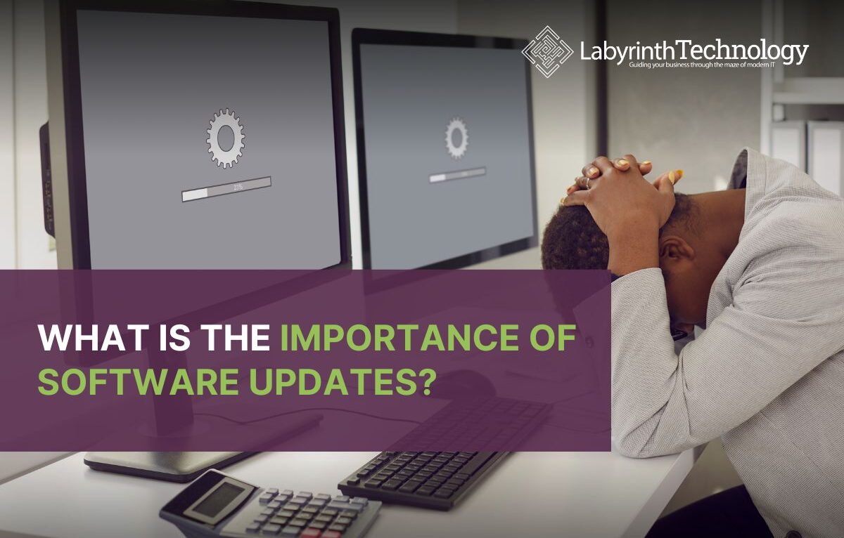 What Is the Importance of Software Updates?